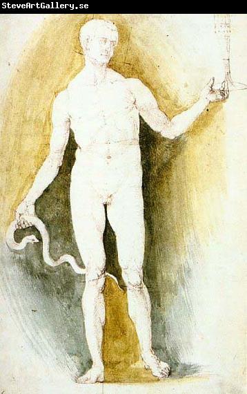 Albrecht Durer Male Nude with a Glass and Snake